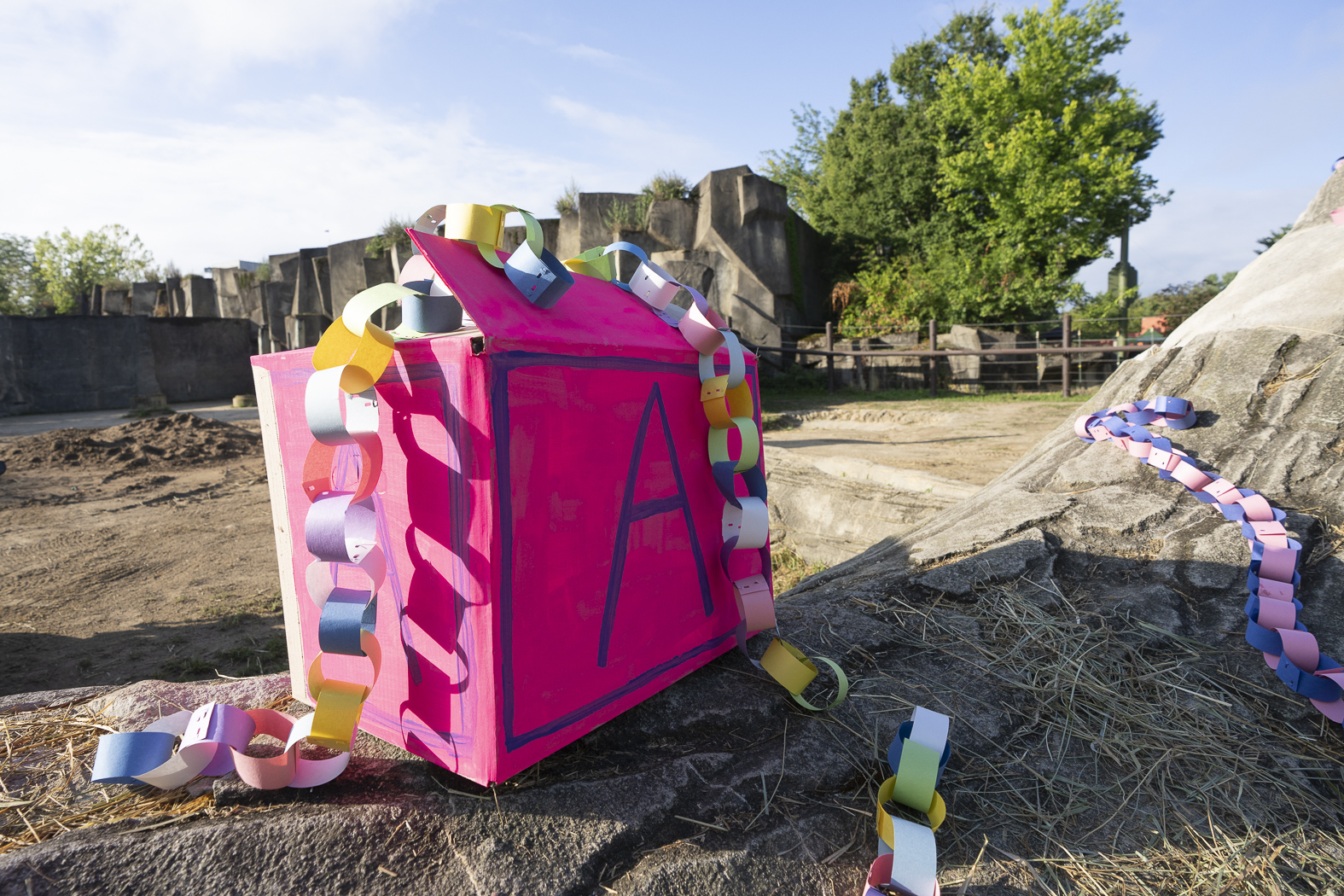 enrichment in elephant habitat