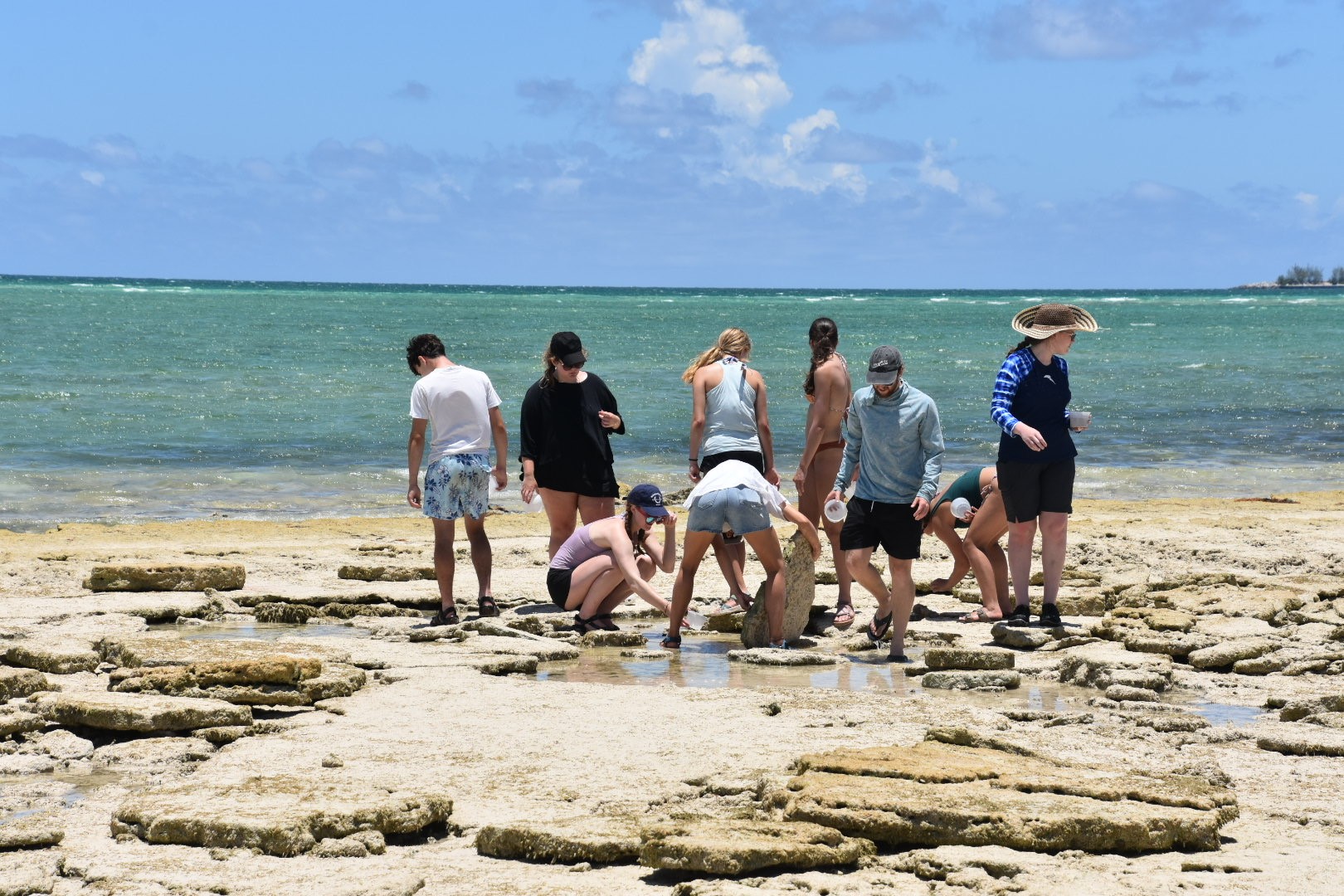 students looking out into ocean