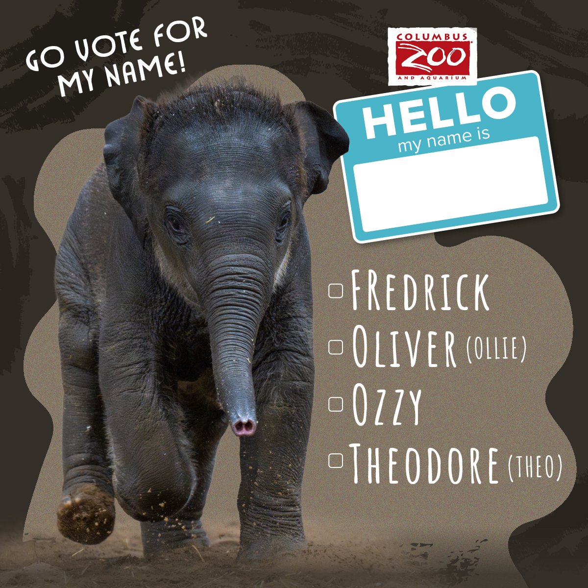 naming campaign graphic