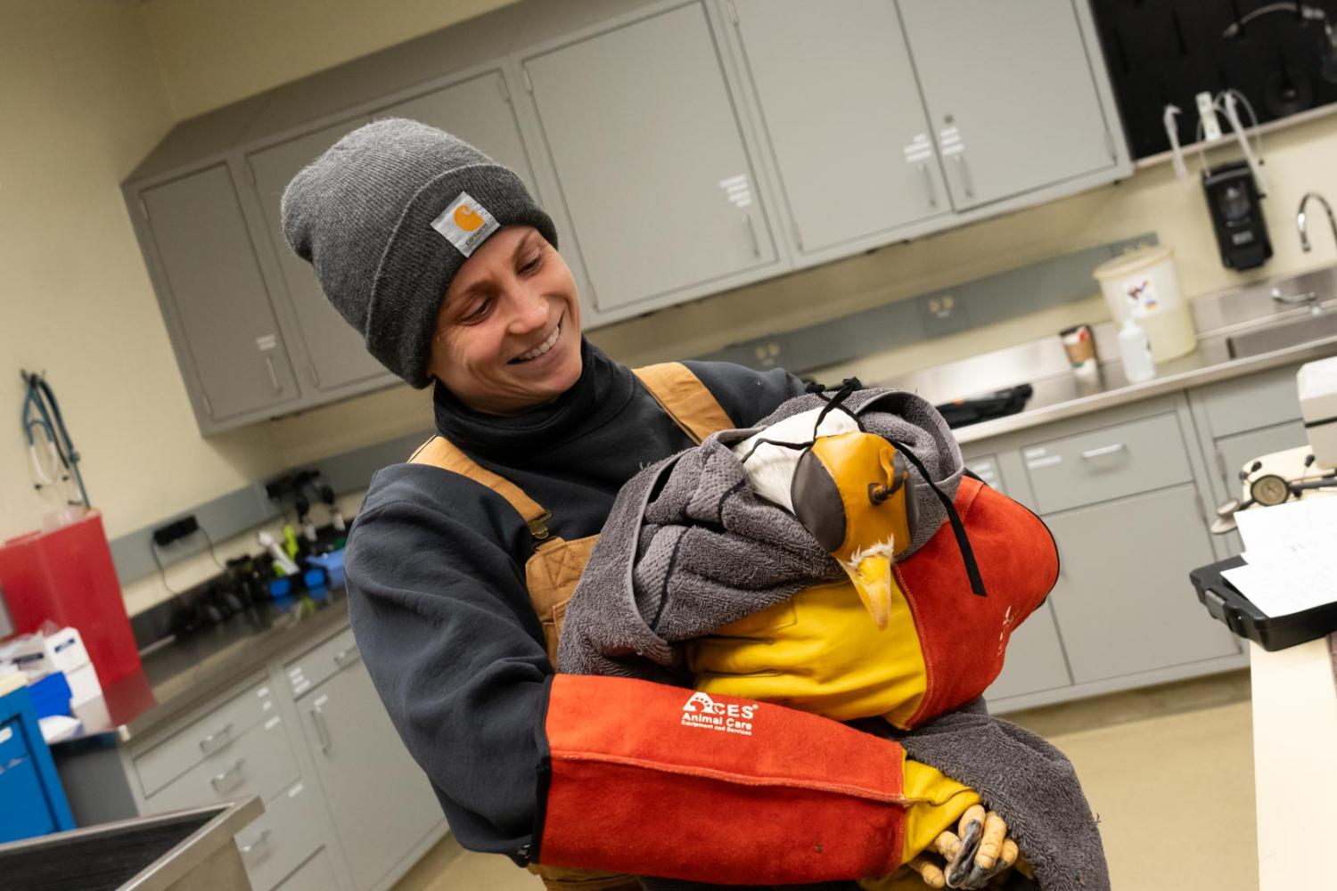 eagle held by care team