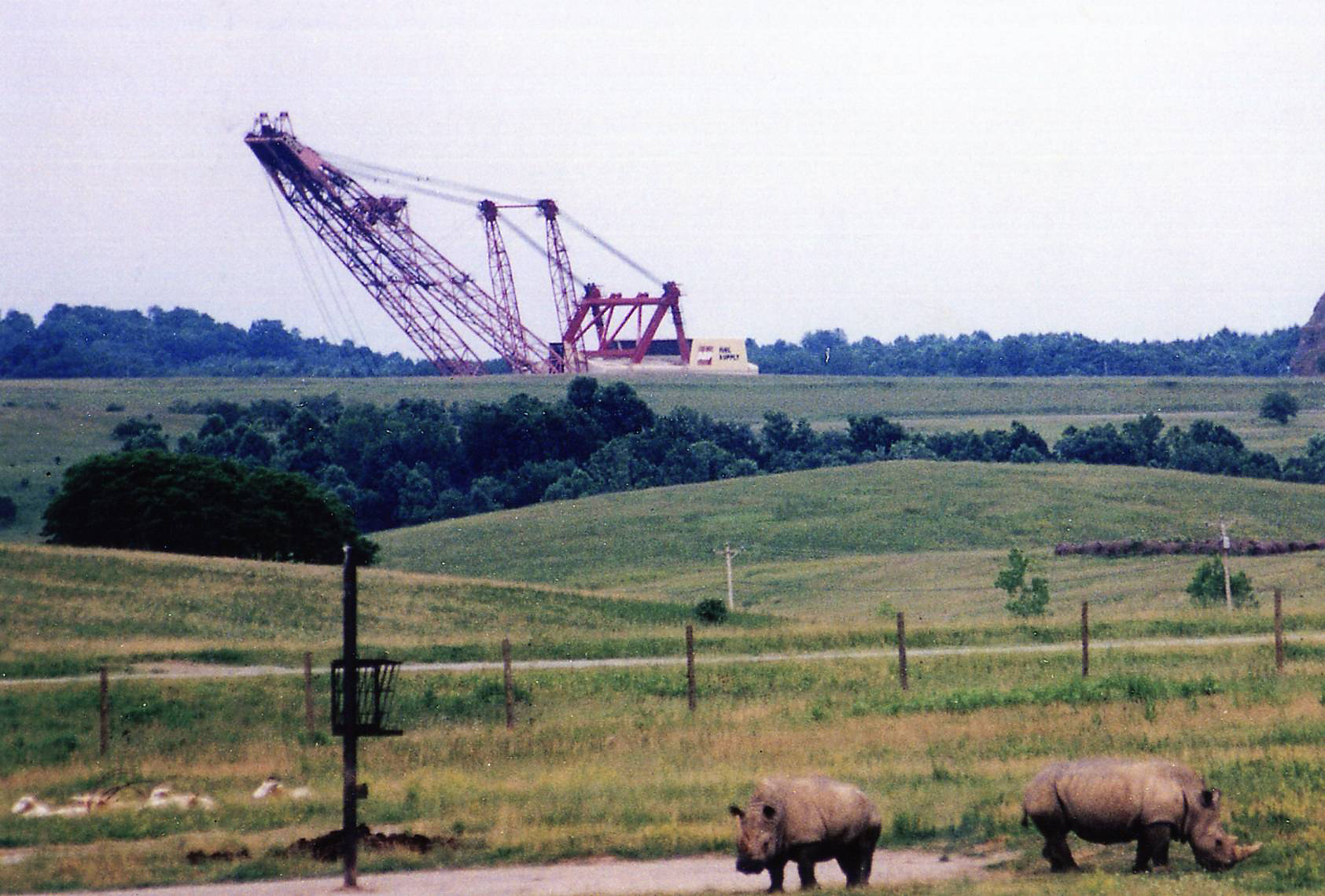 large excavator in background of rhino pasture