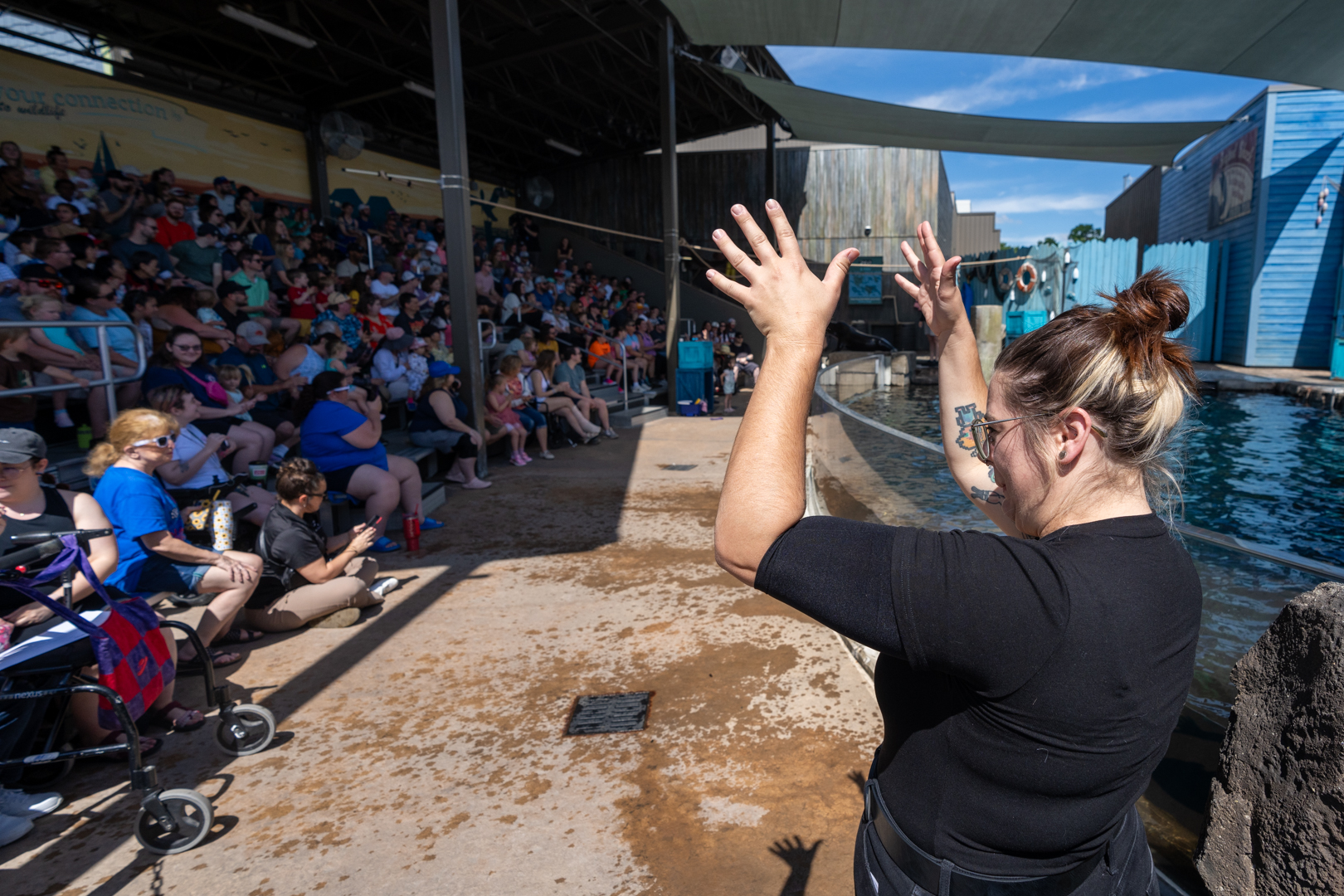 sign language interpreter