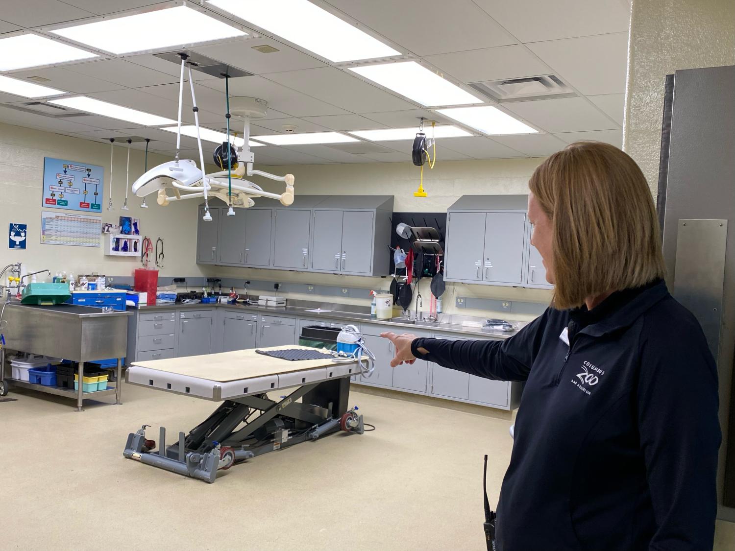 Brianne leading a tour of the Animal Health Center at the Columbus Zoo and Aquarium