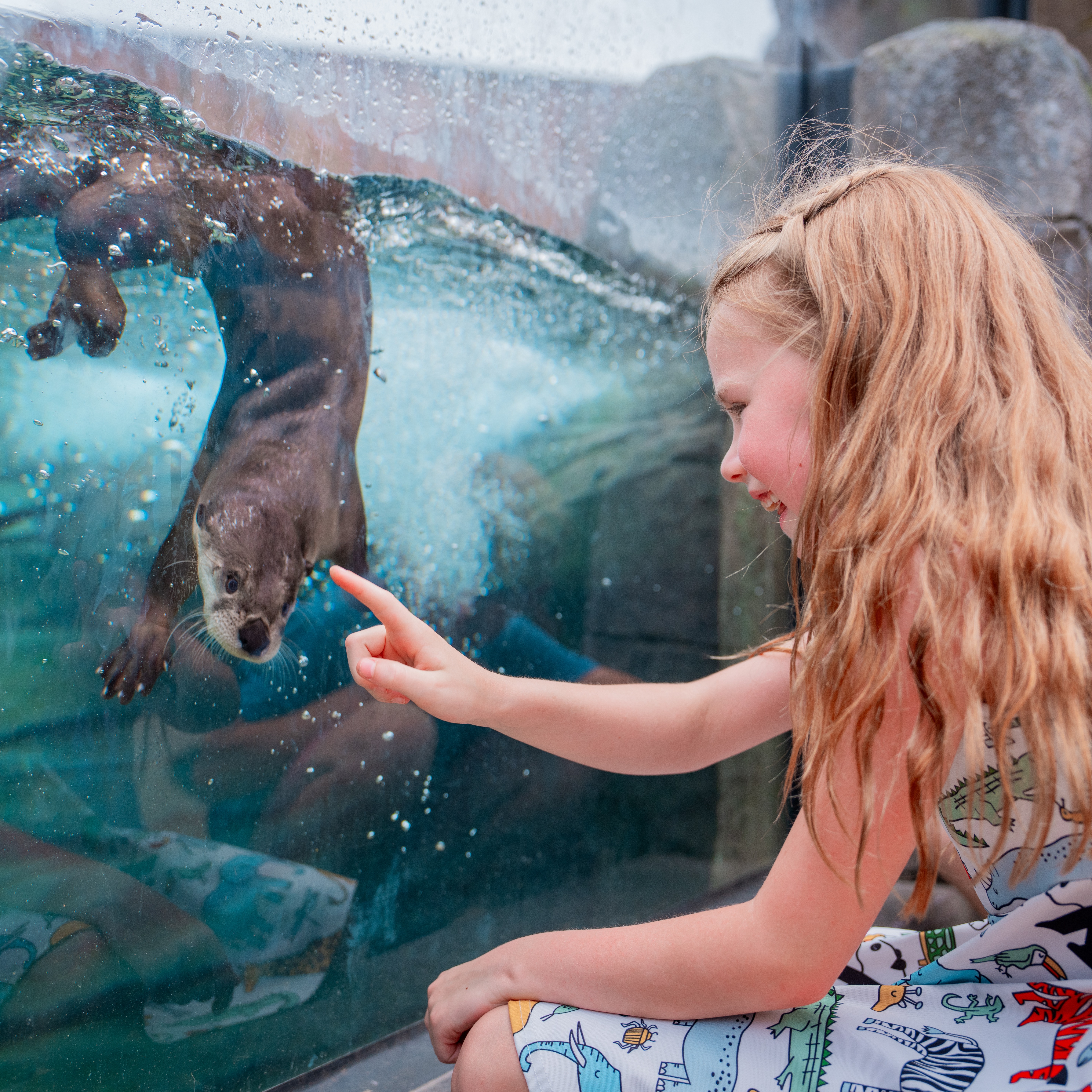 child looking at river otter in habitat