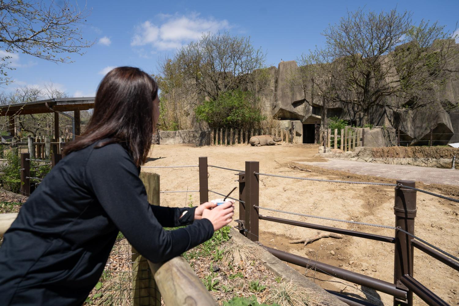 Caitlin Garling overlooking rhino habitat at the Zoo