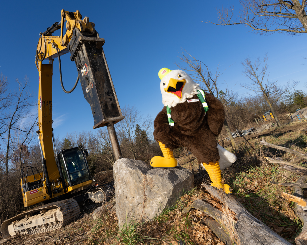 mascot in construction