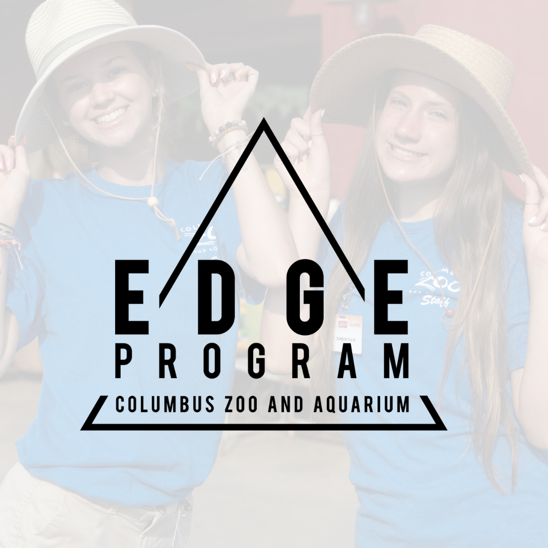 graphic for zoo program