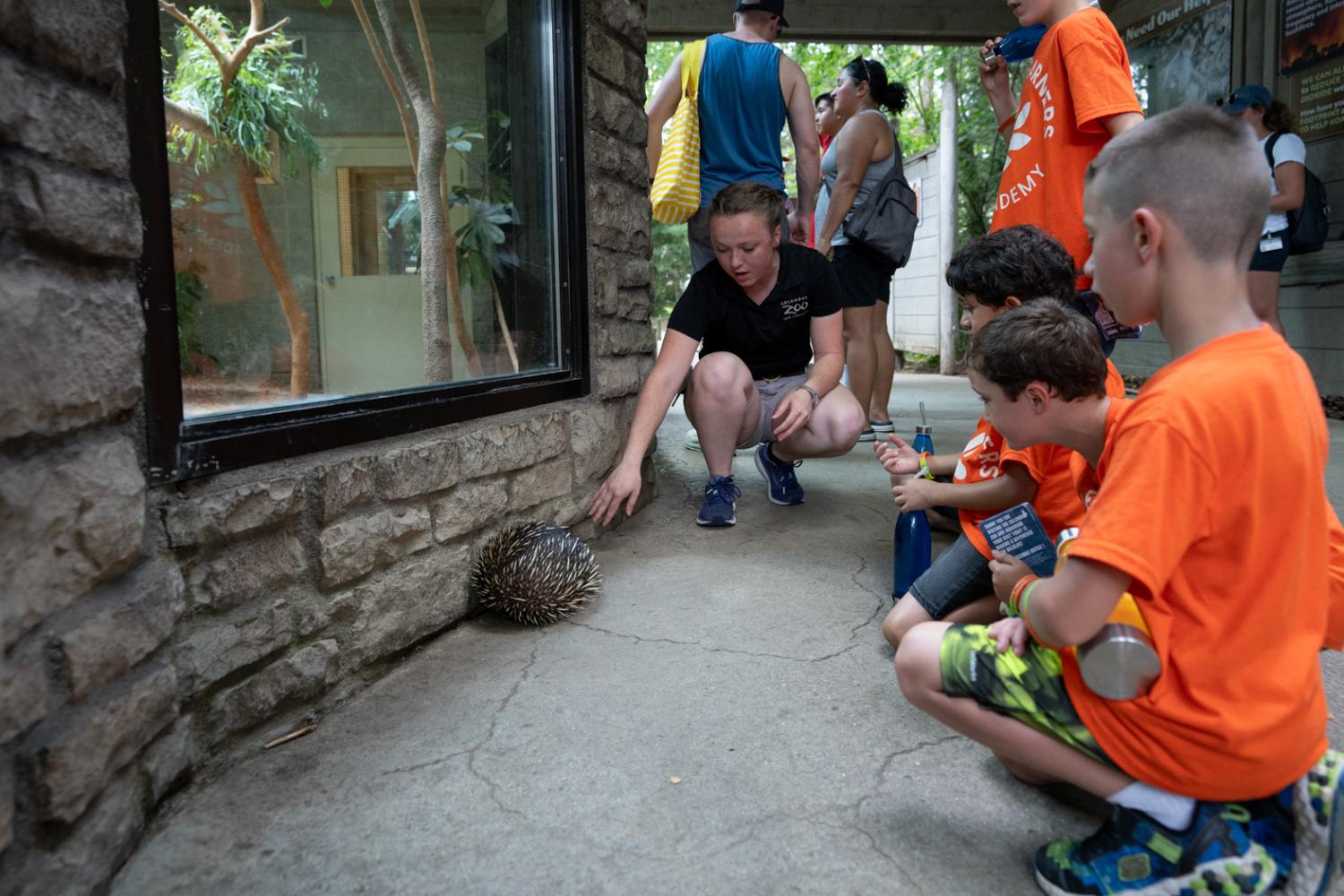 guests on zoo tour looking at echindea