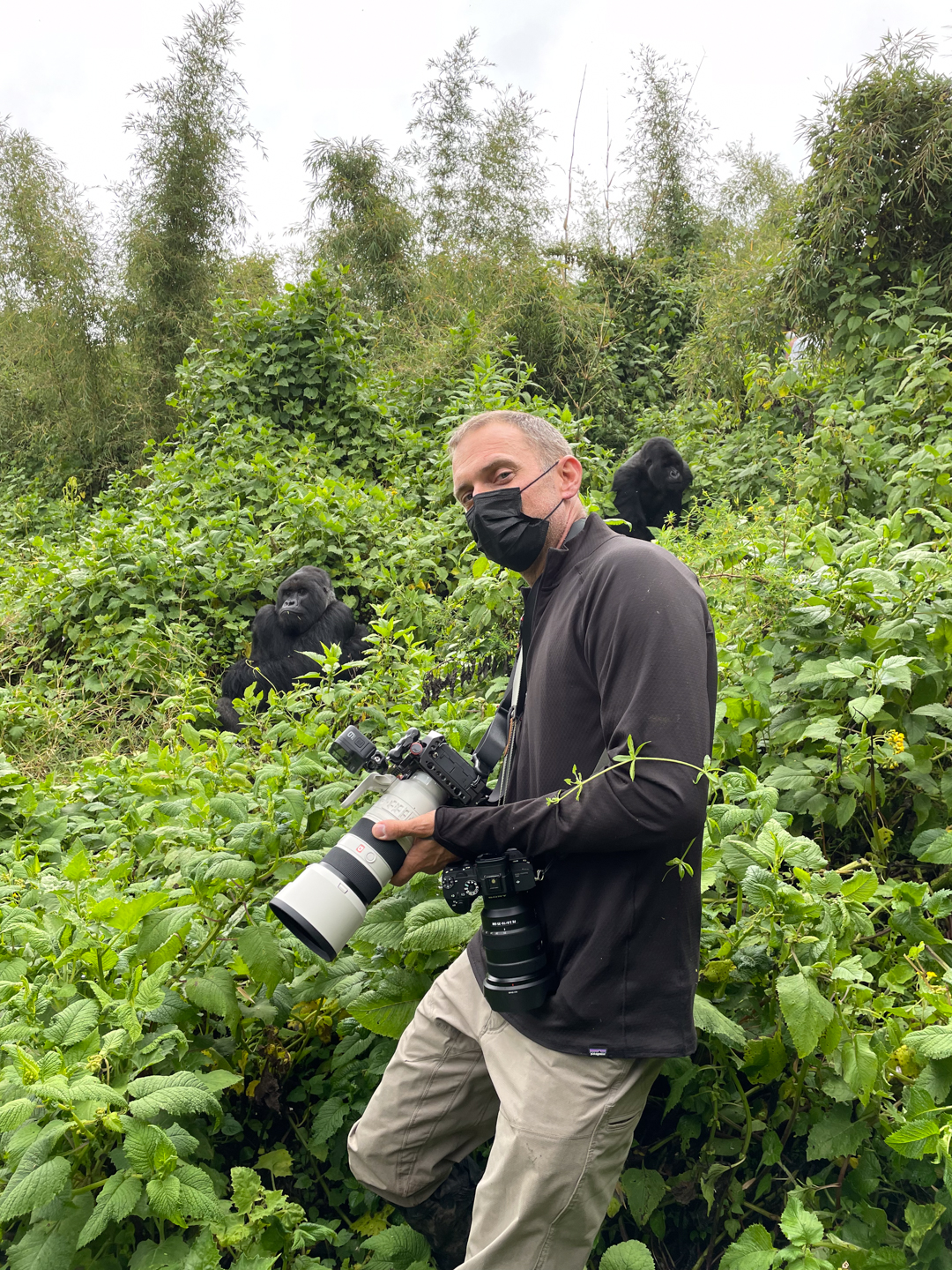 photographer and gorillas in Rwanda