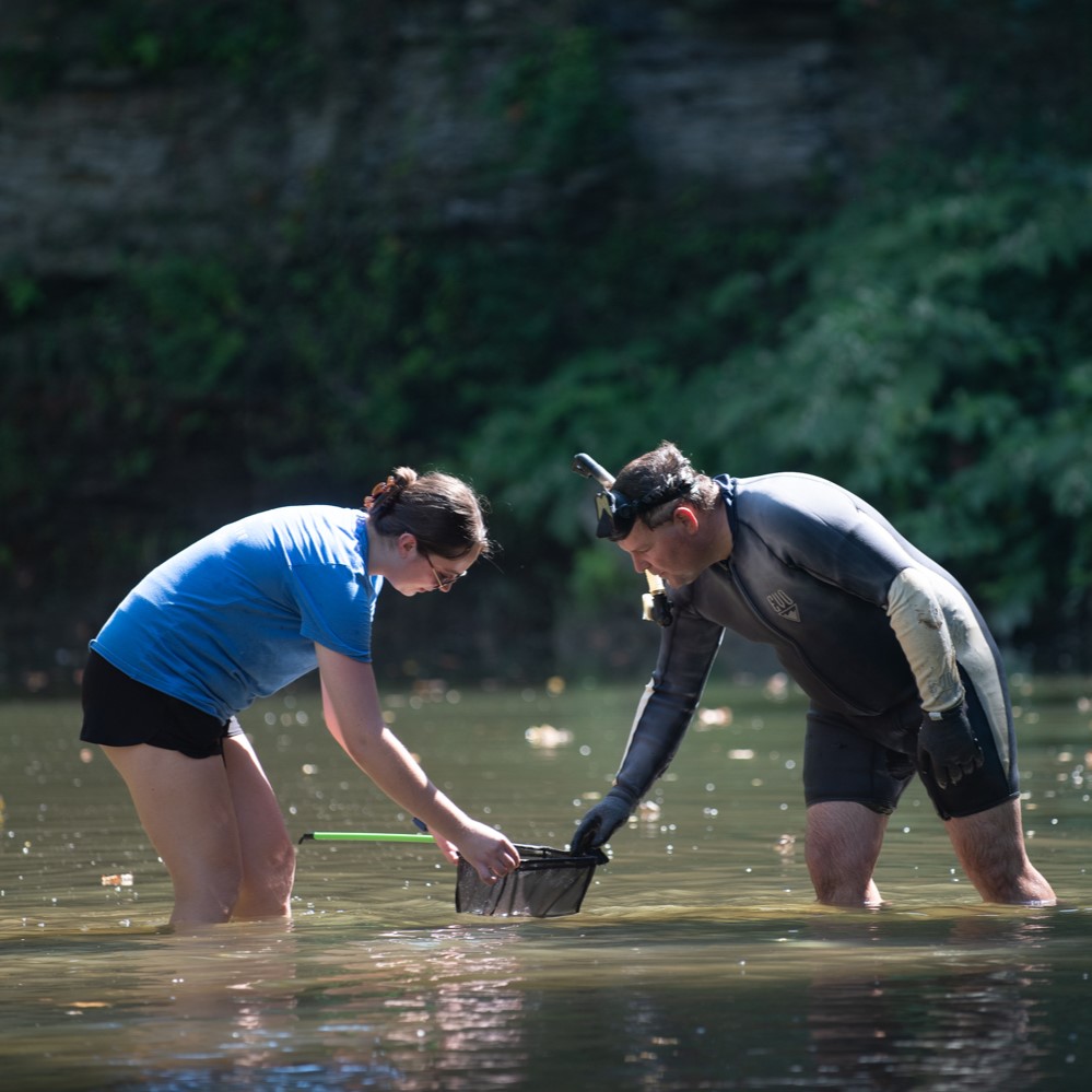 hellbender release