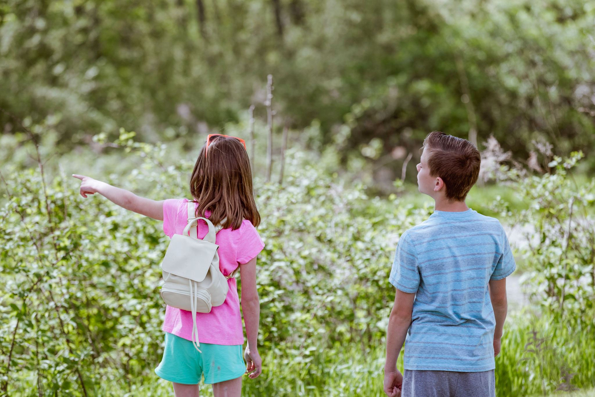 tour guests looking at flower field