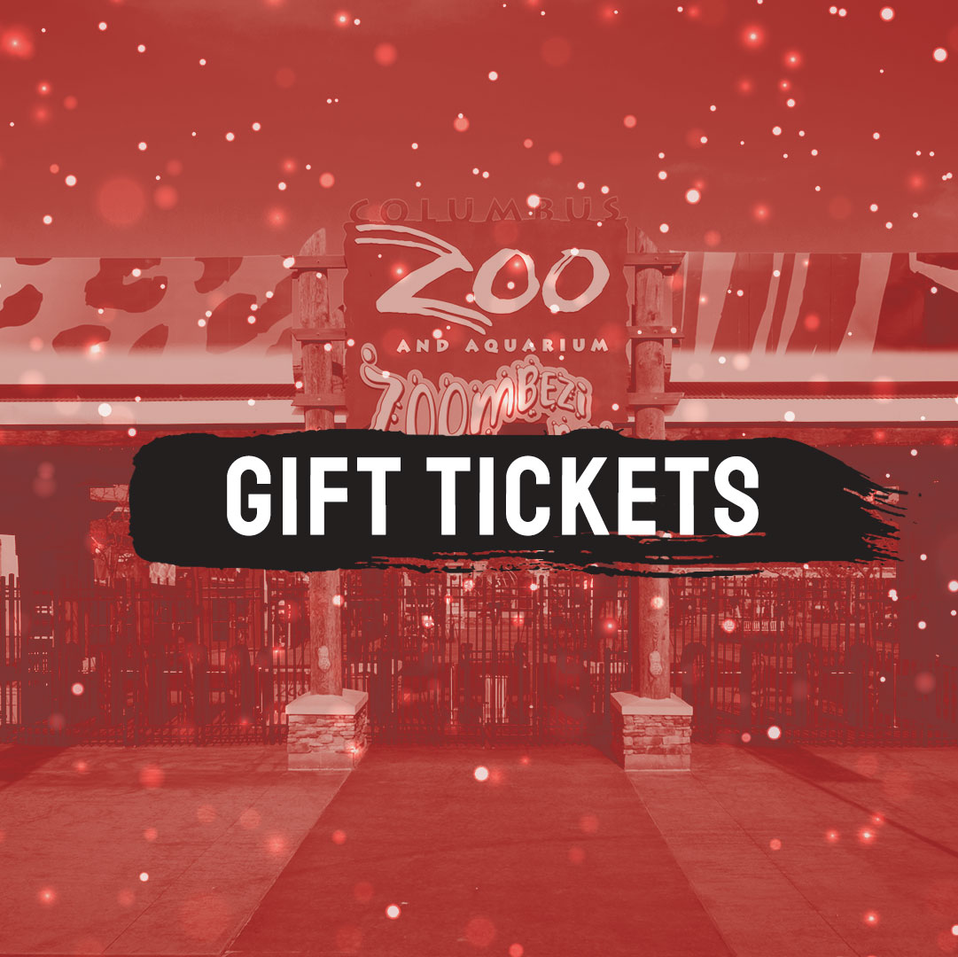 Holiday Gift Guide | Columbus Zoo and Aquarium