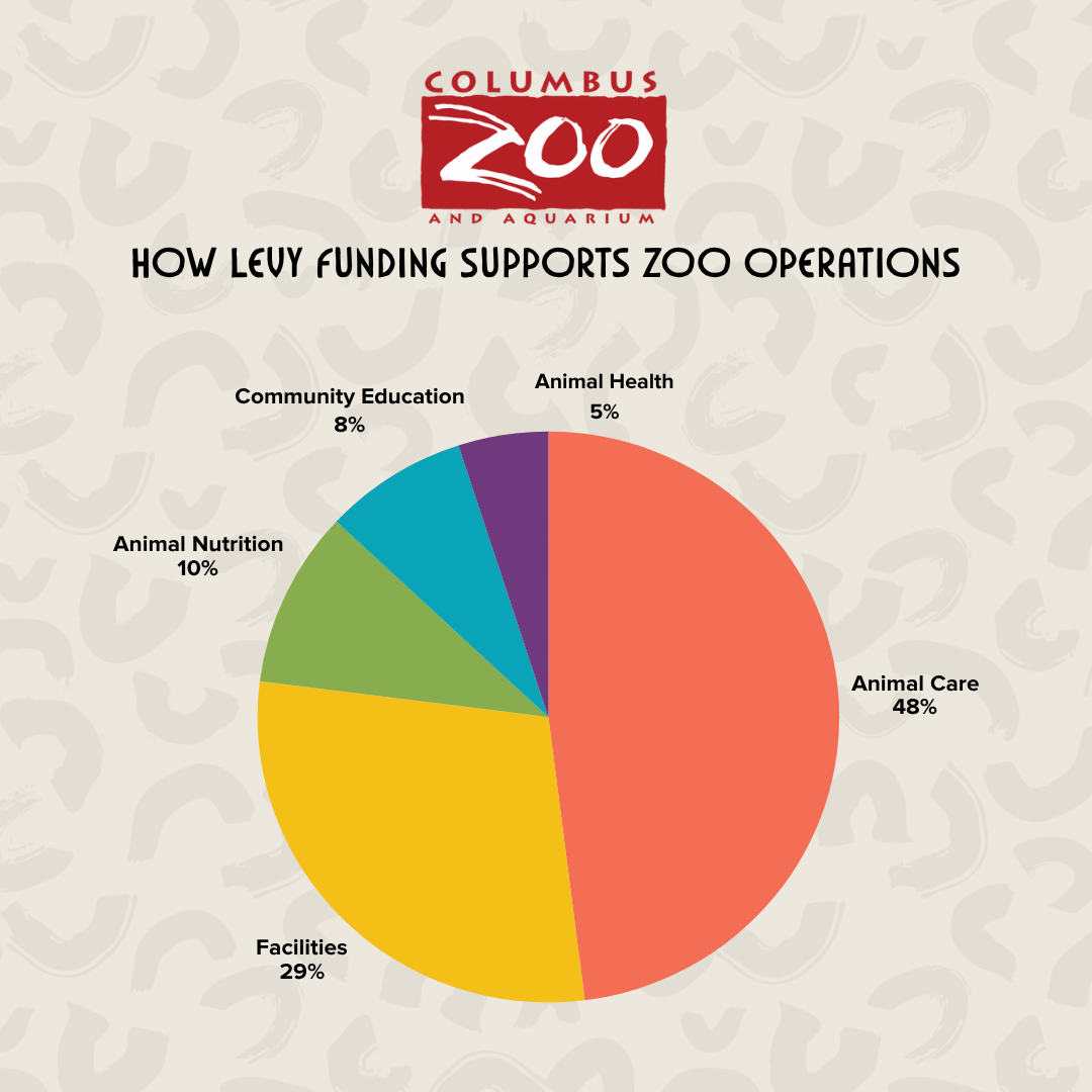 Zoo infographic
