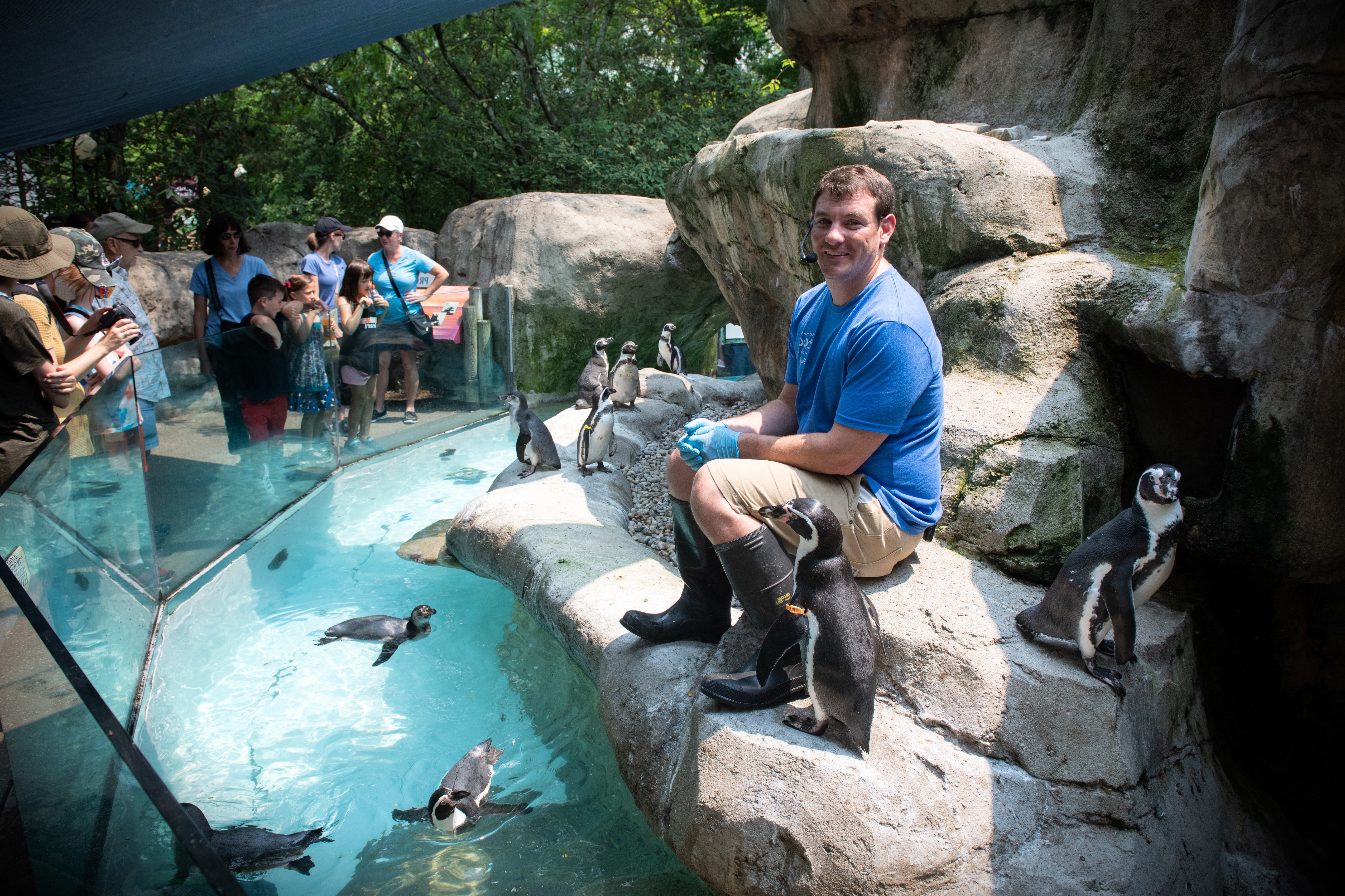 zoo staff member doing presentation in penguin habitat