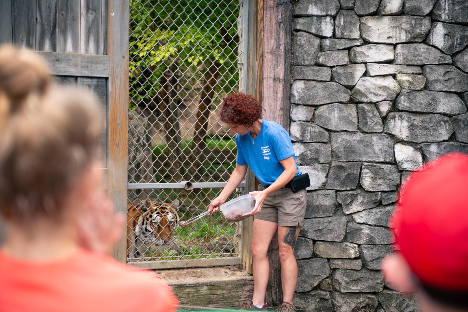Tiger Keeper Talk
