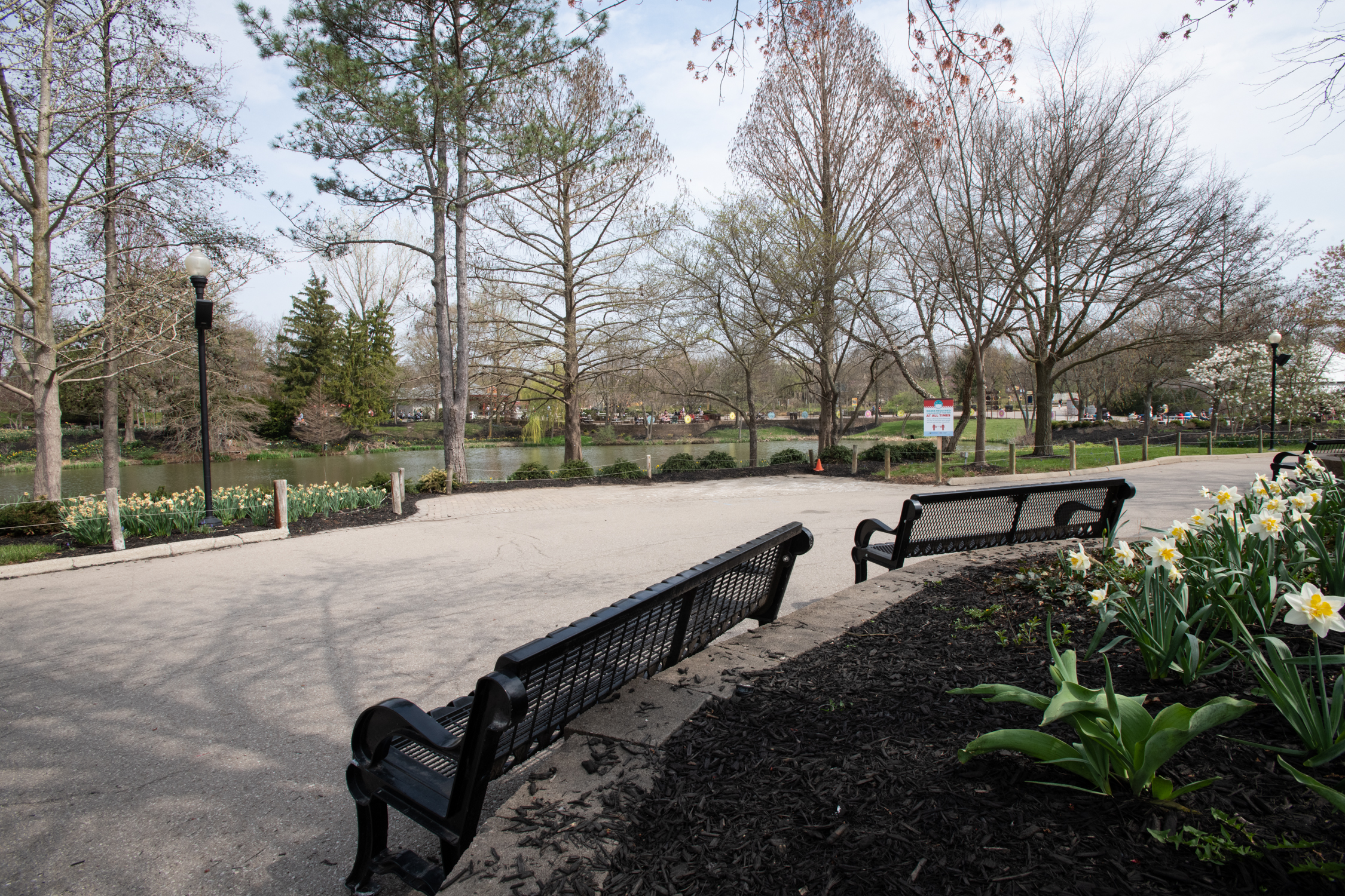 benches at the zoo