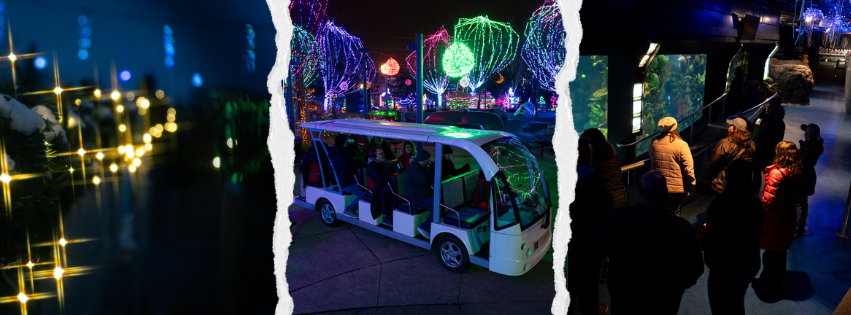 holiday image collage from the columbus zoo
