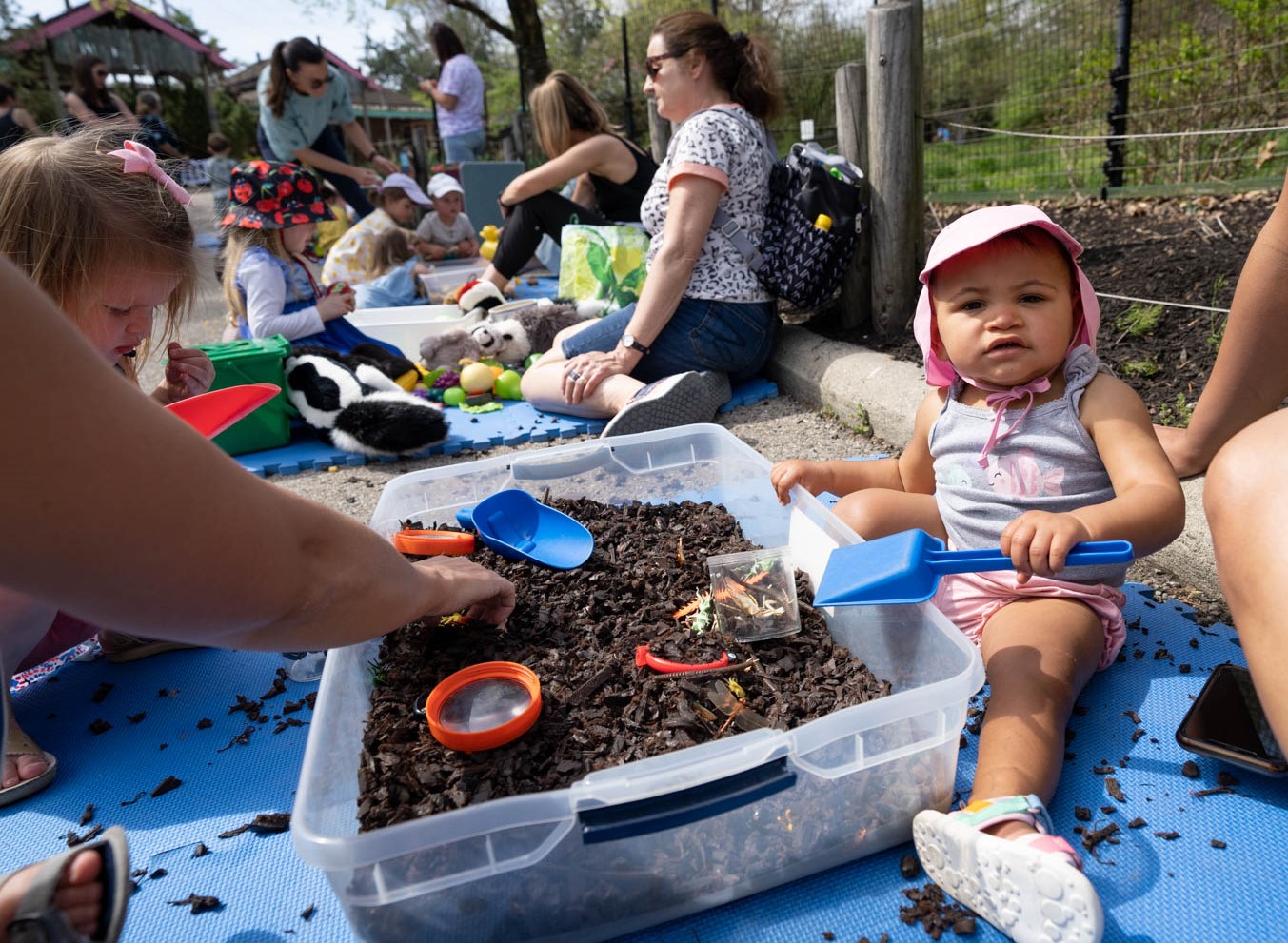 child playing at zoo