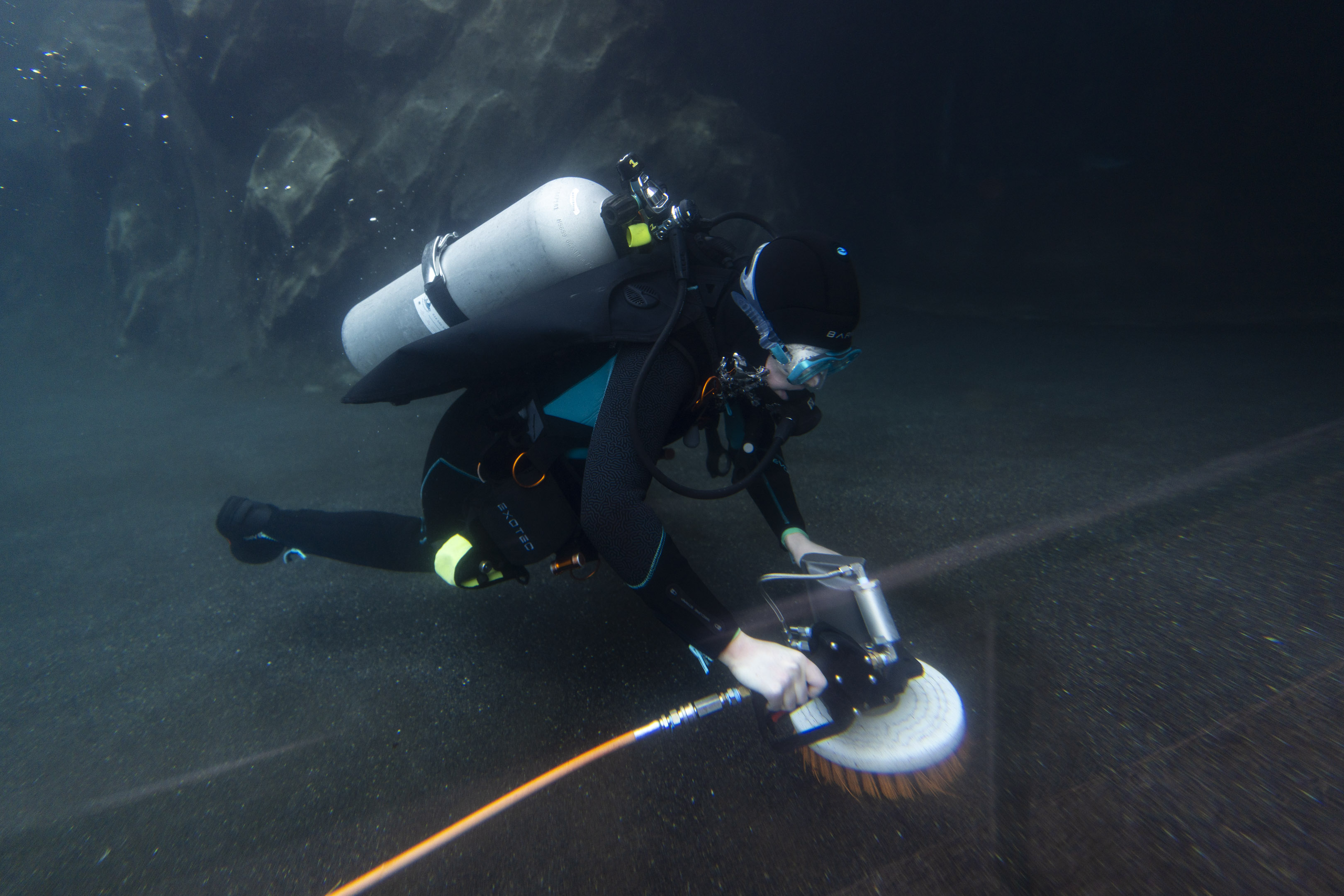 diver in water at Columbus Zoo