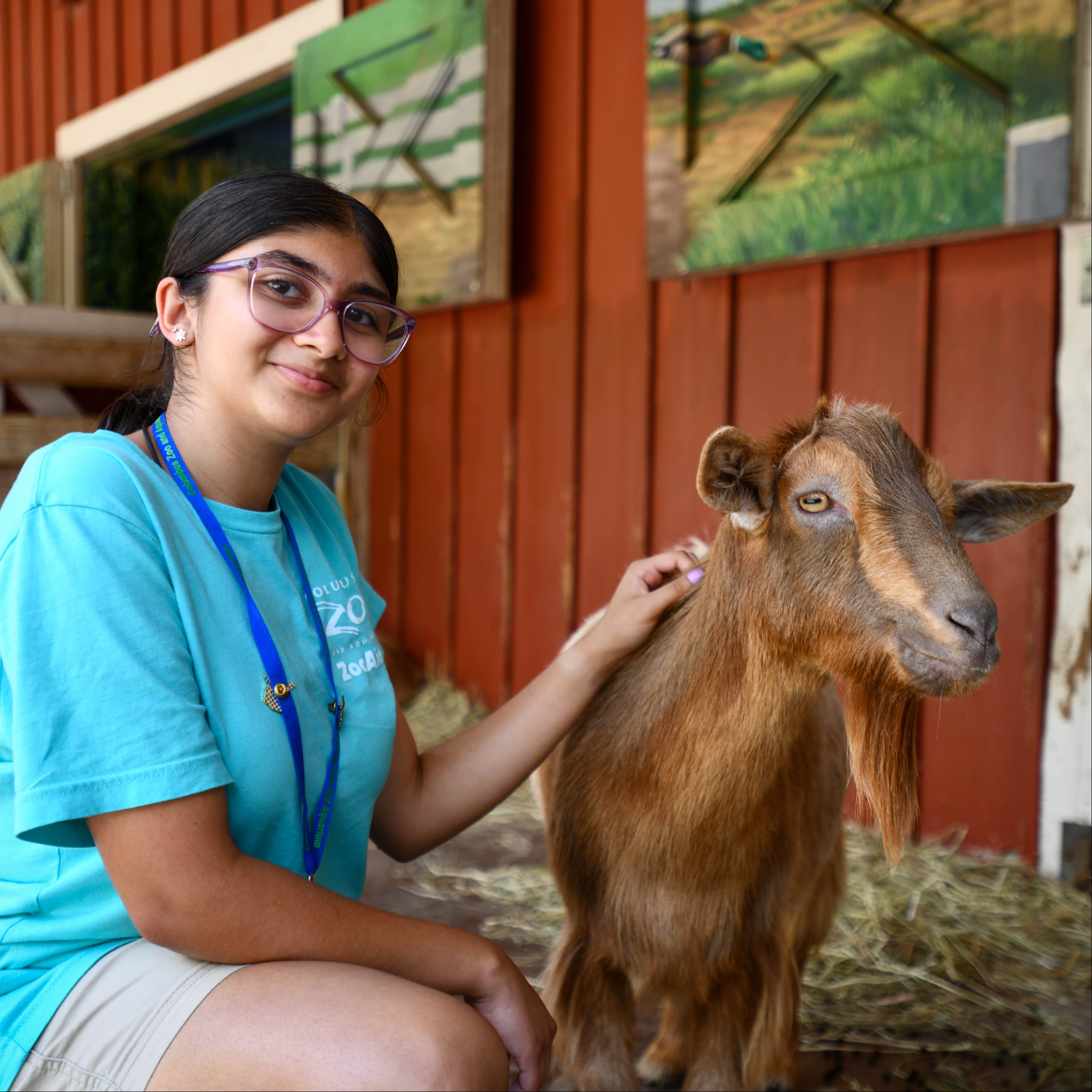 teen volunteer and a goat at the zoo