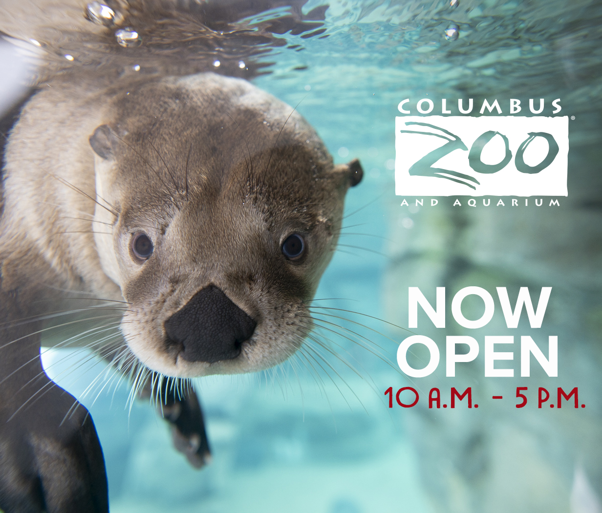 River Otter Hours graphic