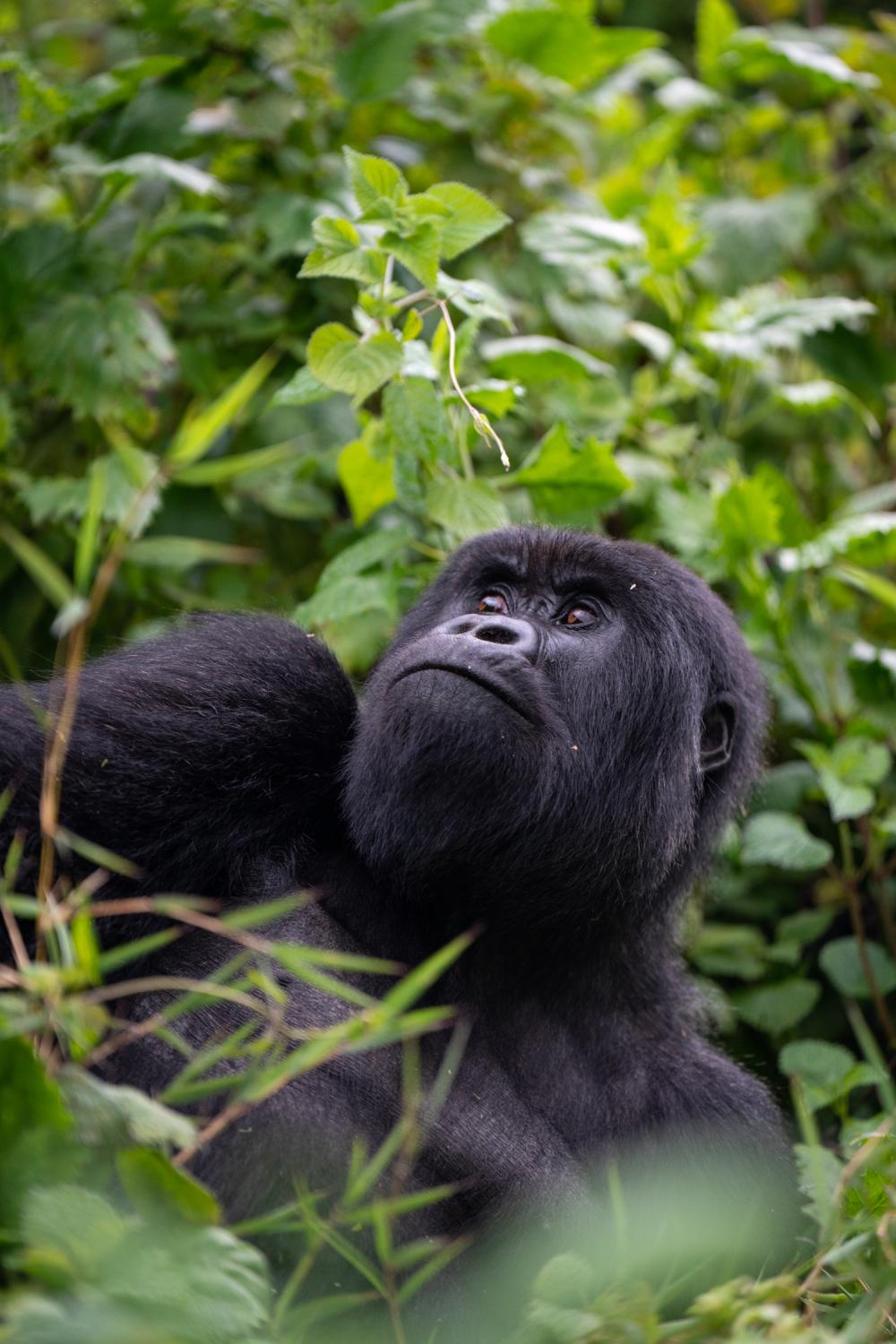 photographer in Rwanda