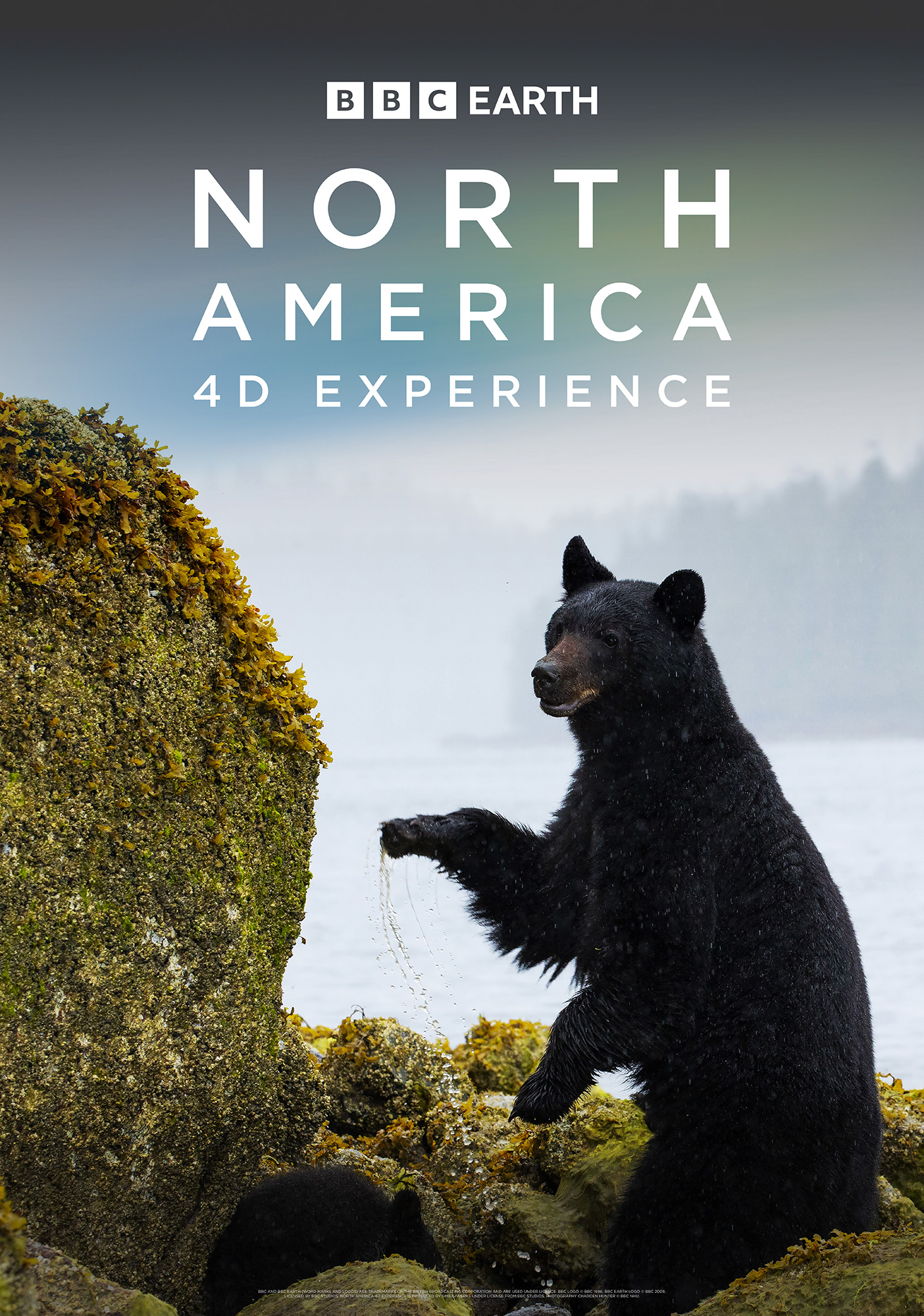 Movie poster featuring standing black bear for North America 4D movie promotion