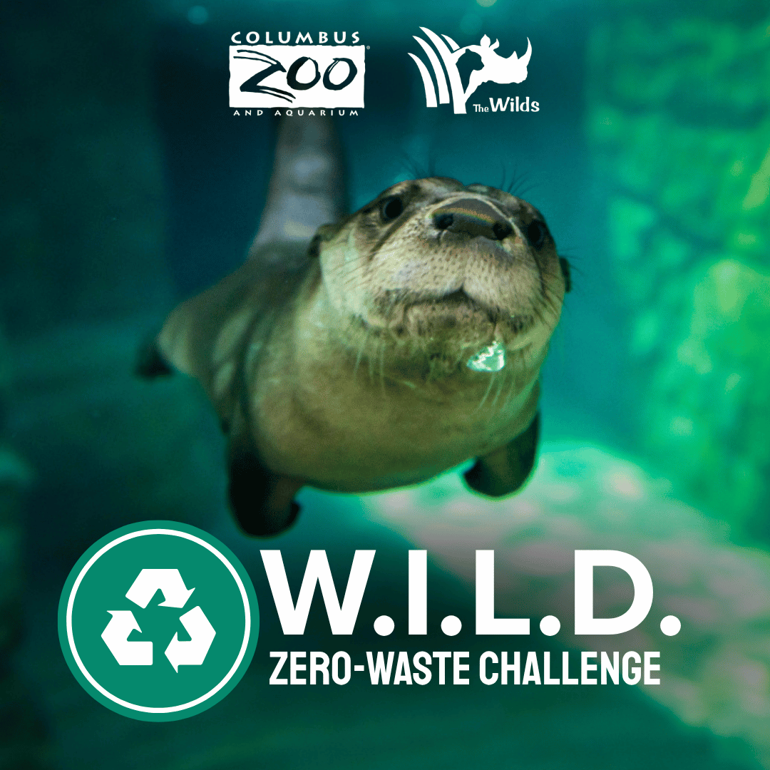 challenge graphic