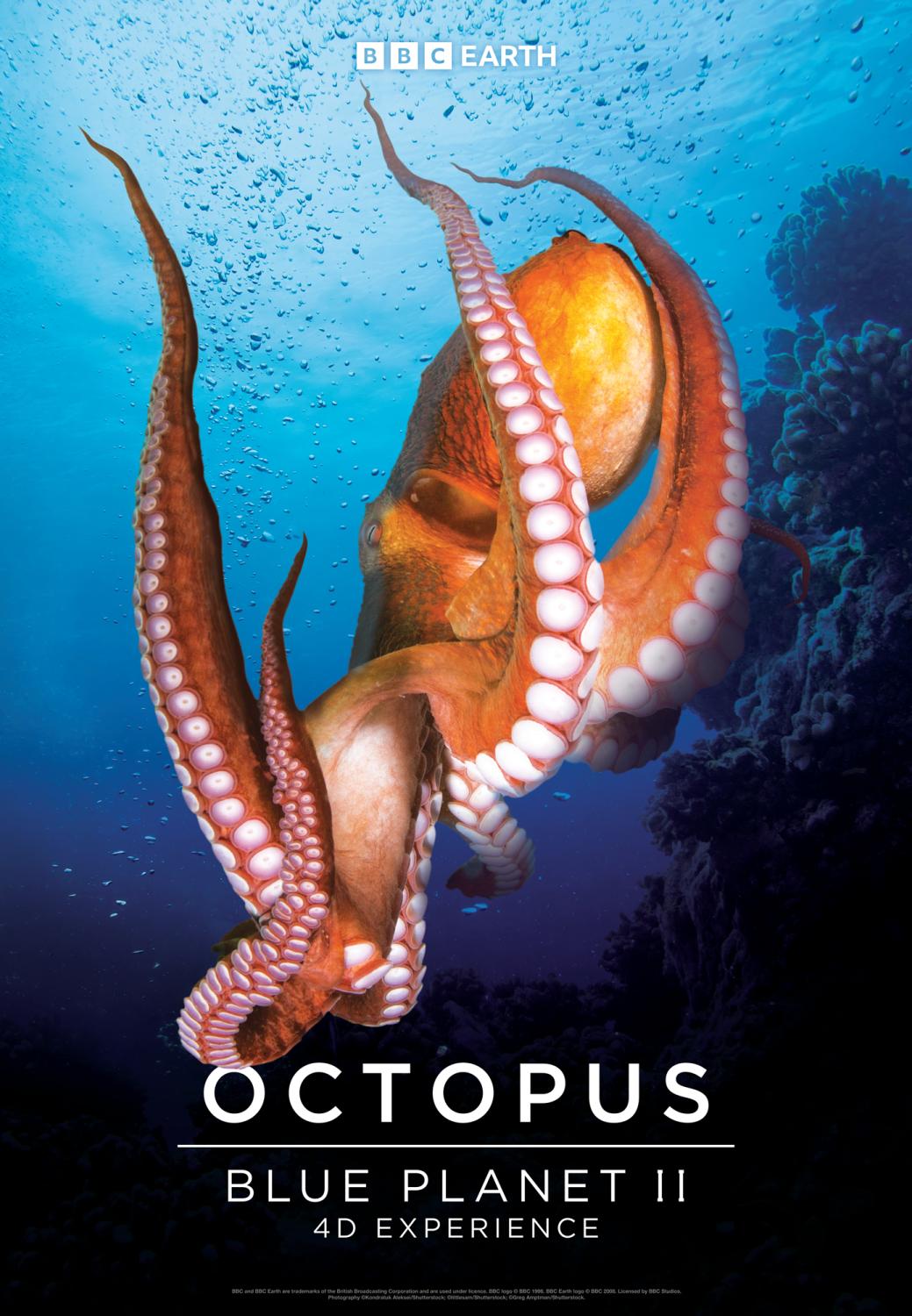 octopus movie poster