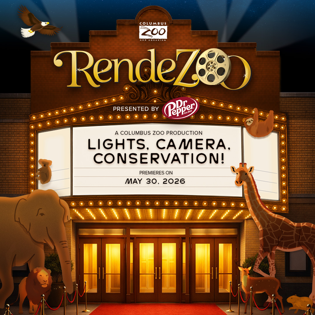 RendeZOO theater graphic