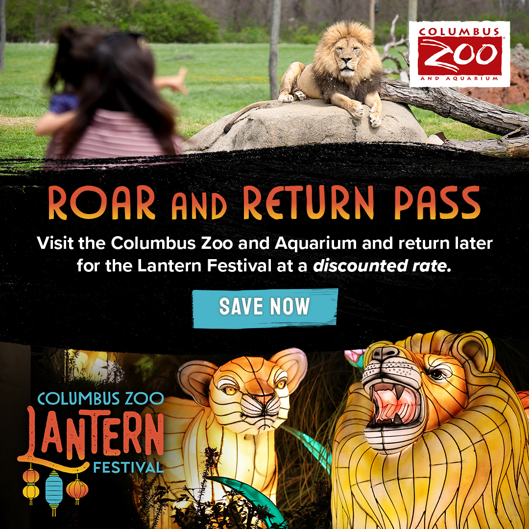 Roar and Return graphic