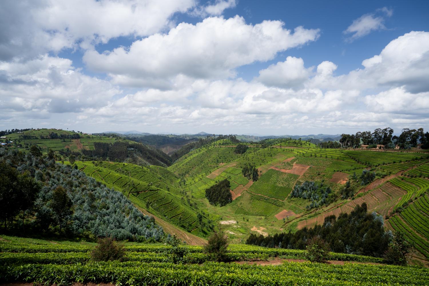 vistas in Rwanda