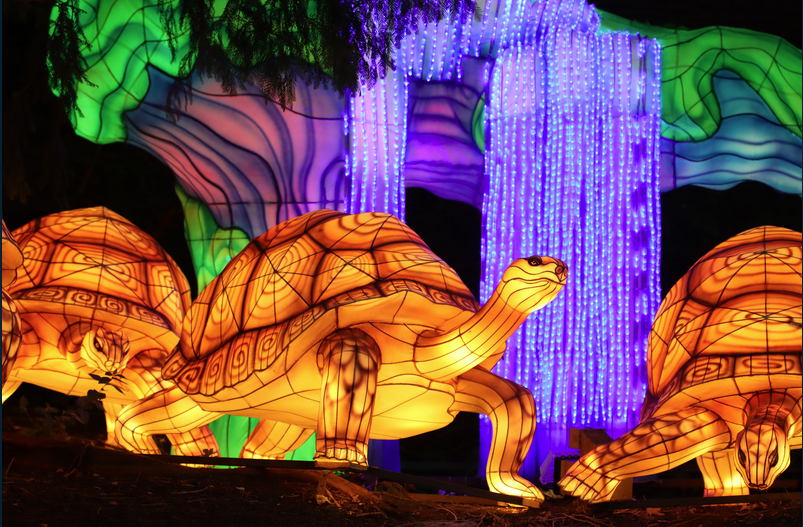 lanterns at the columbus zoo