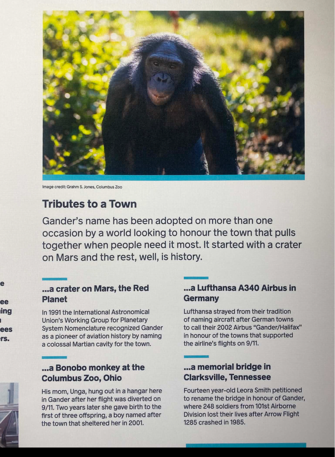 wall sign with bonobo information