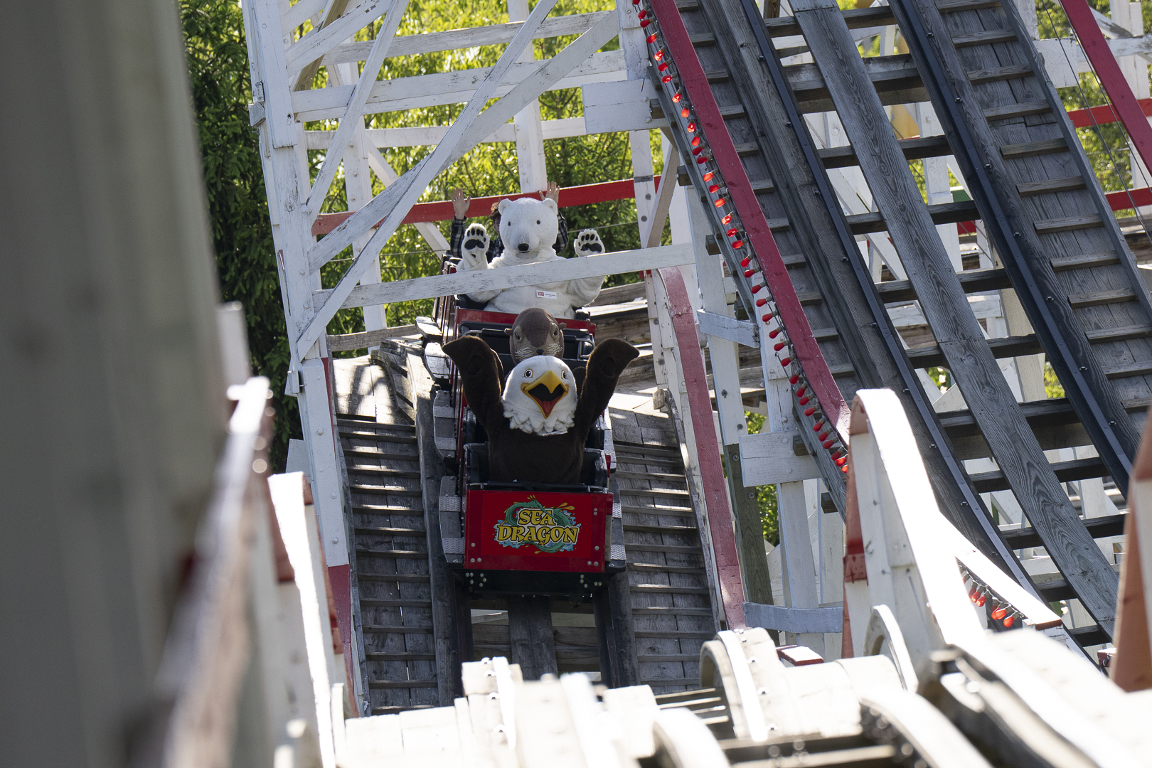 mascots on roller coaster