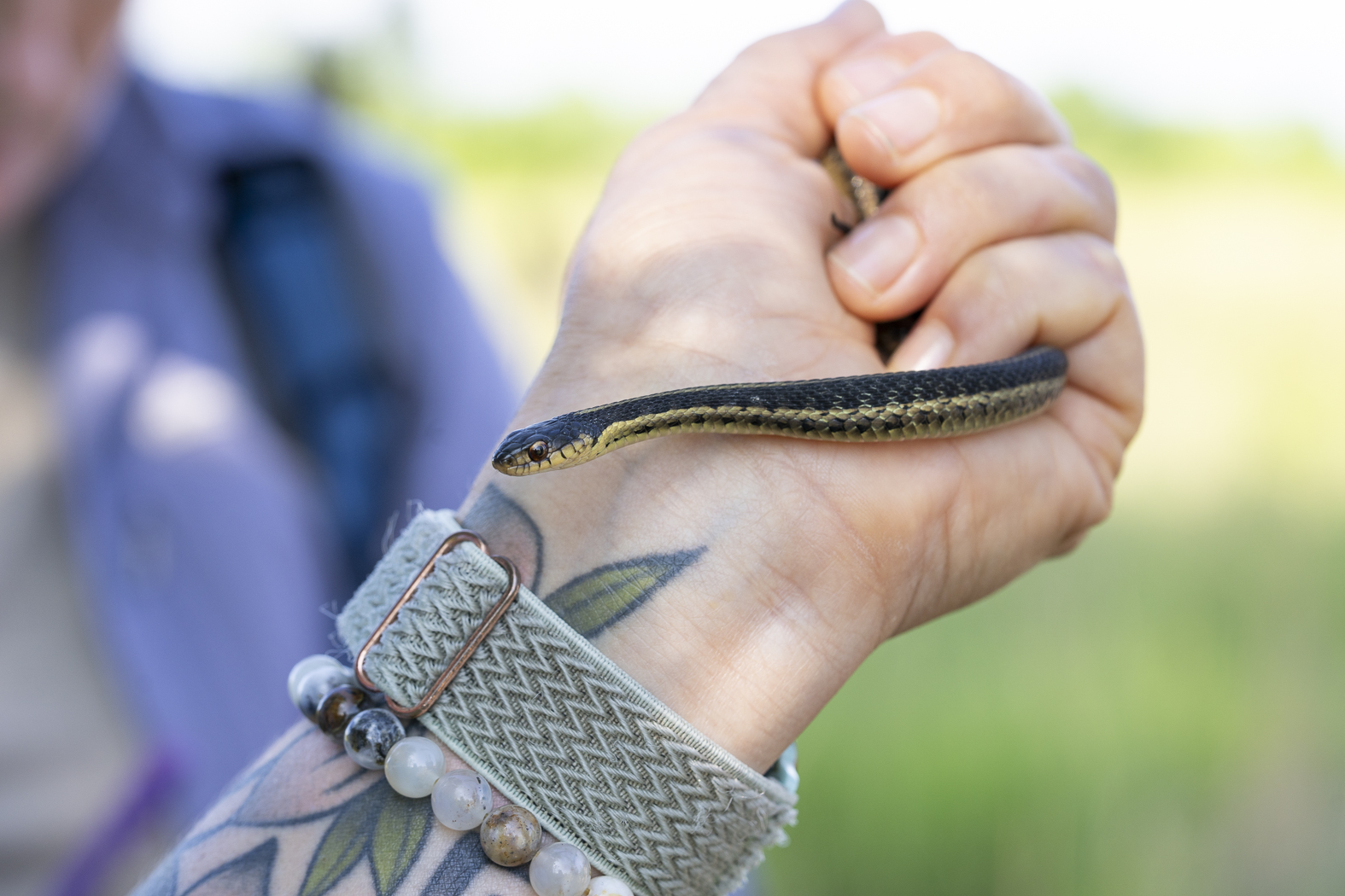 woman holding snake in hand