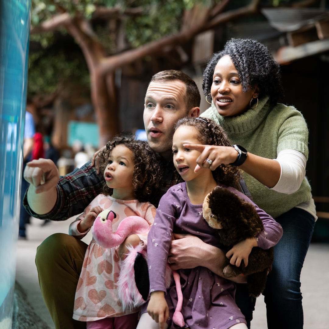 Family enjoying zoo membership benefits by visiting a water habitat at the Columbus Zoo