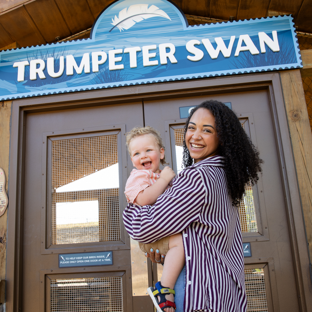 Woman and her child at the swan aviary at the Columbus Zoo