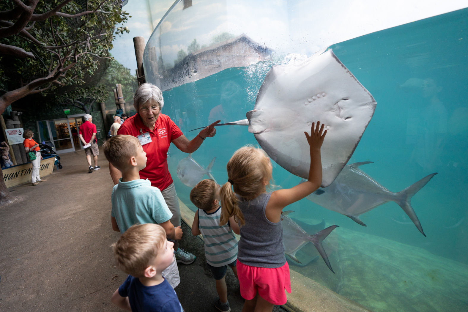 Zoo docent showing a stingray to guests