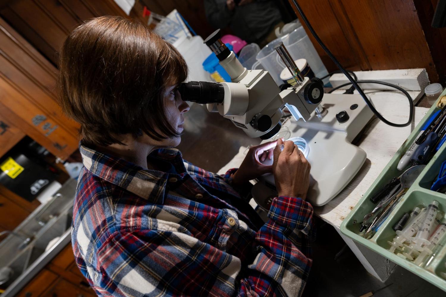 woman with microscope in lab
