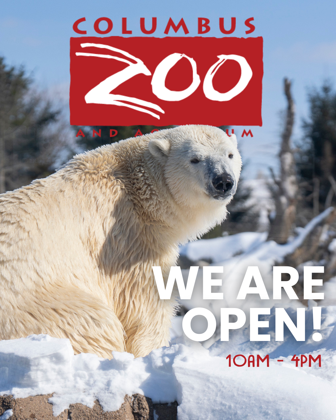 We're Open graphic for the Columbus Zoo
