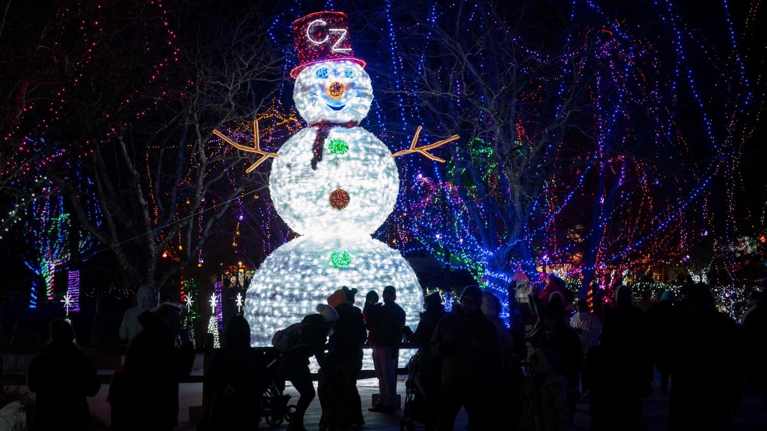 wildlights at the columbus zoo