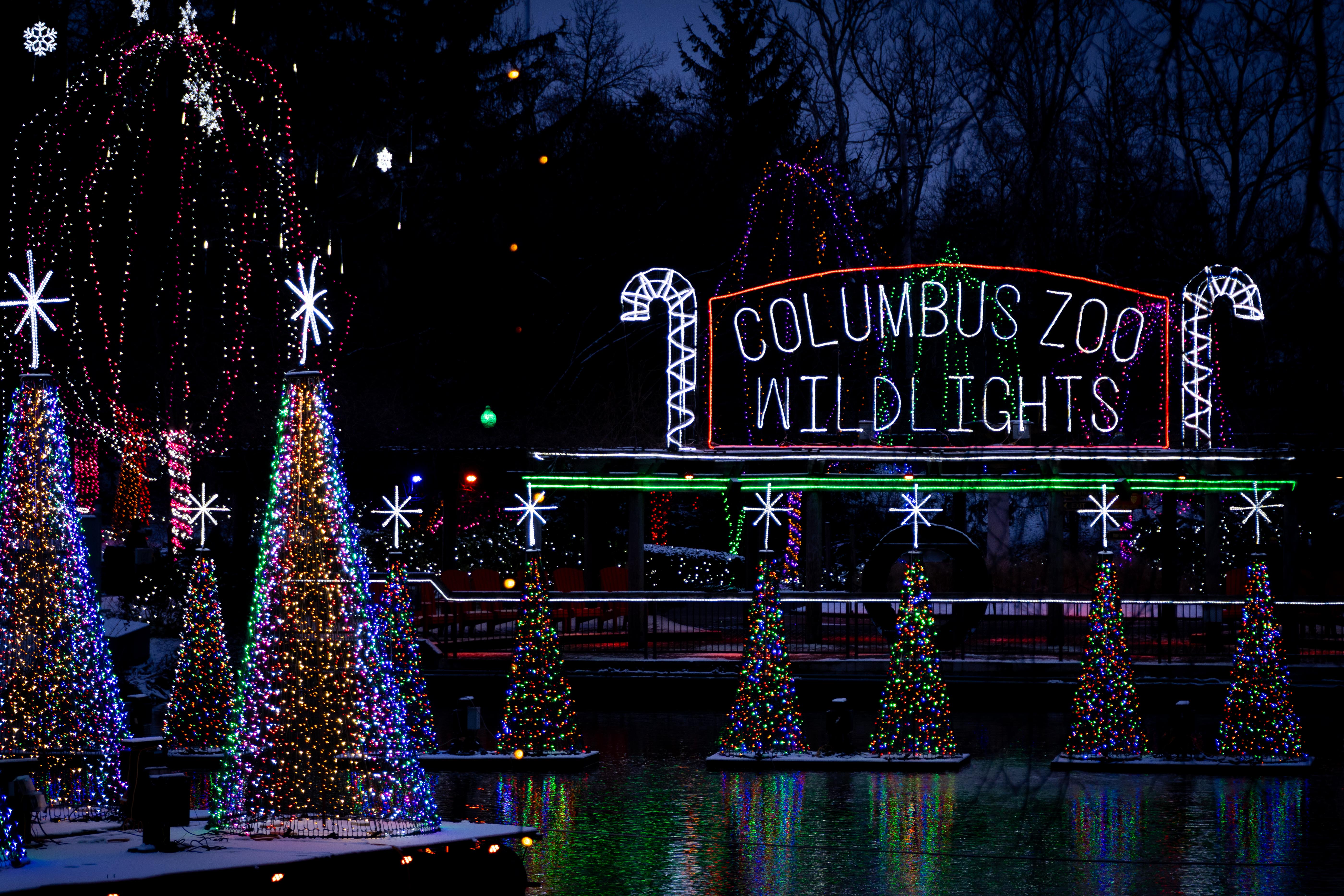 Wildlights lights at the Columbus Zoo