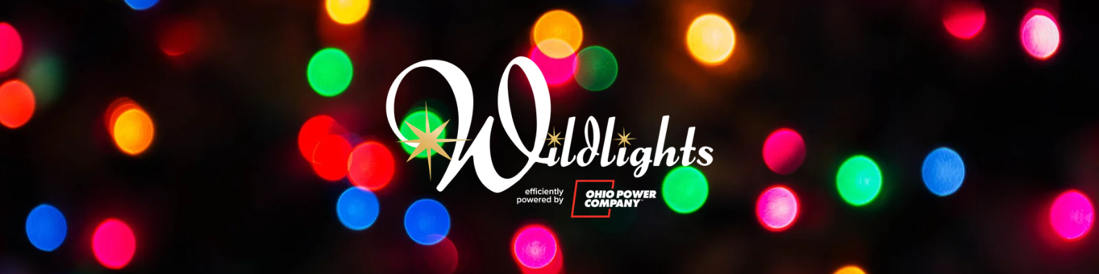 Wildlights banner