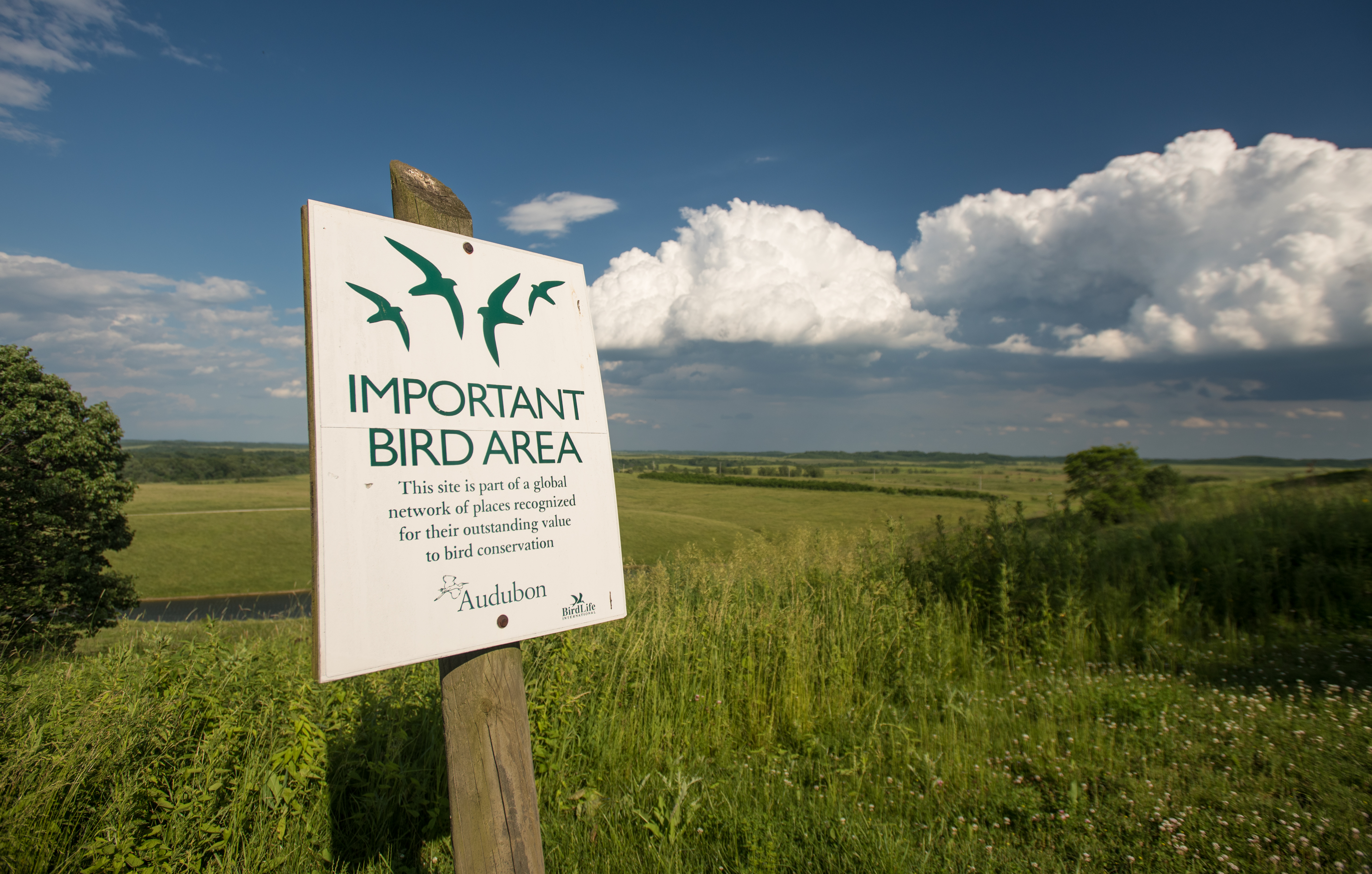 bird sign at a prairie