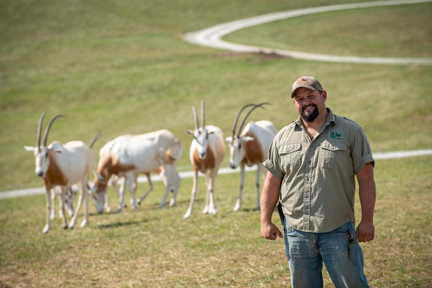 man in pasture