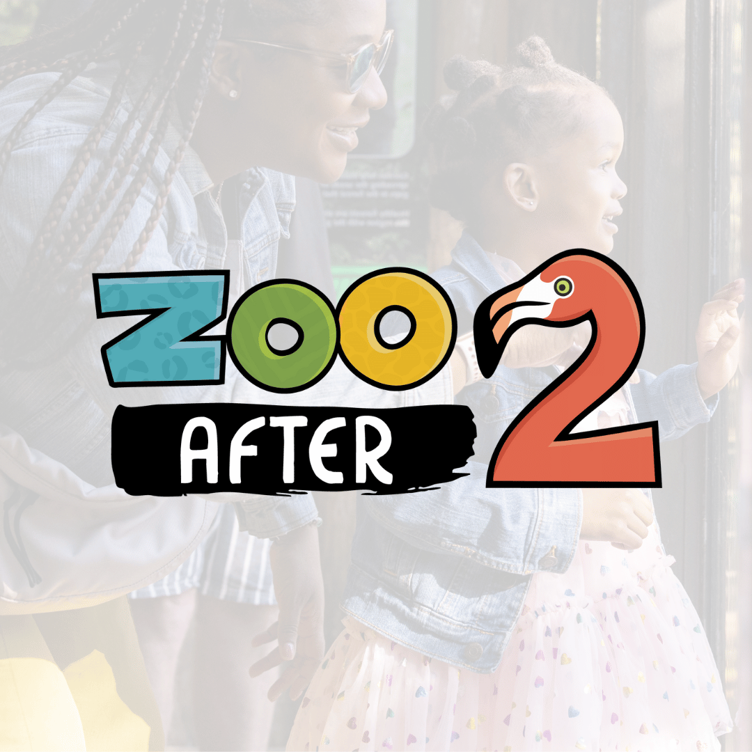 logo for Zoo After 2