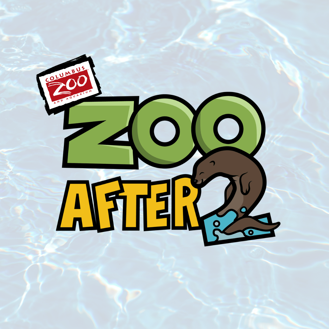 Zoo after 2 graphic