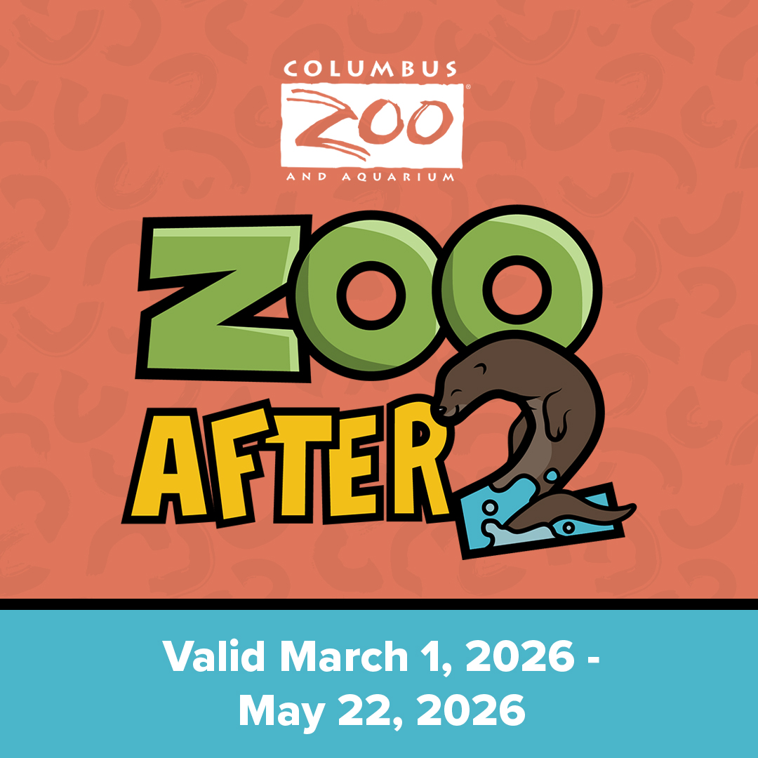 Zoo After 2 Graphic