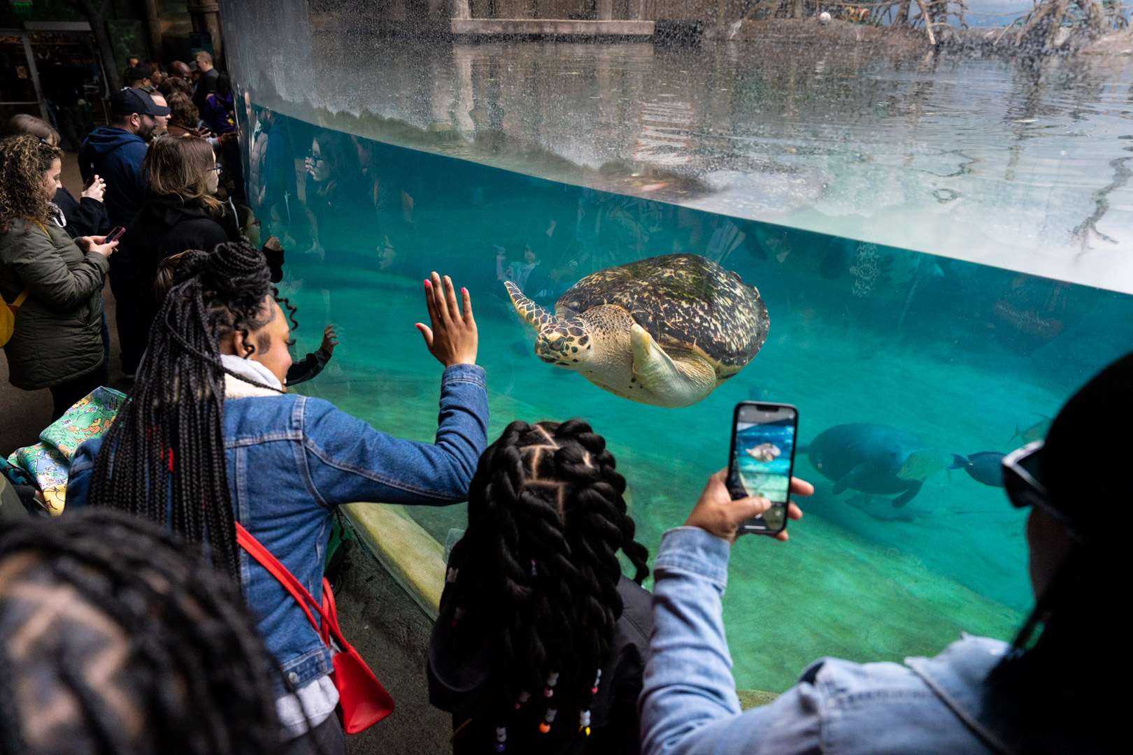 zoo guests looking into aquarium habitat
